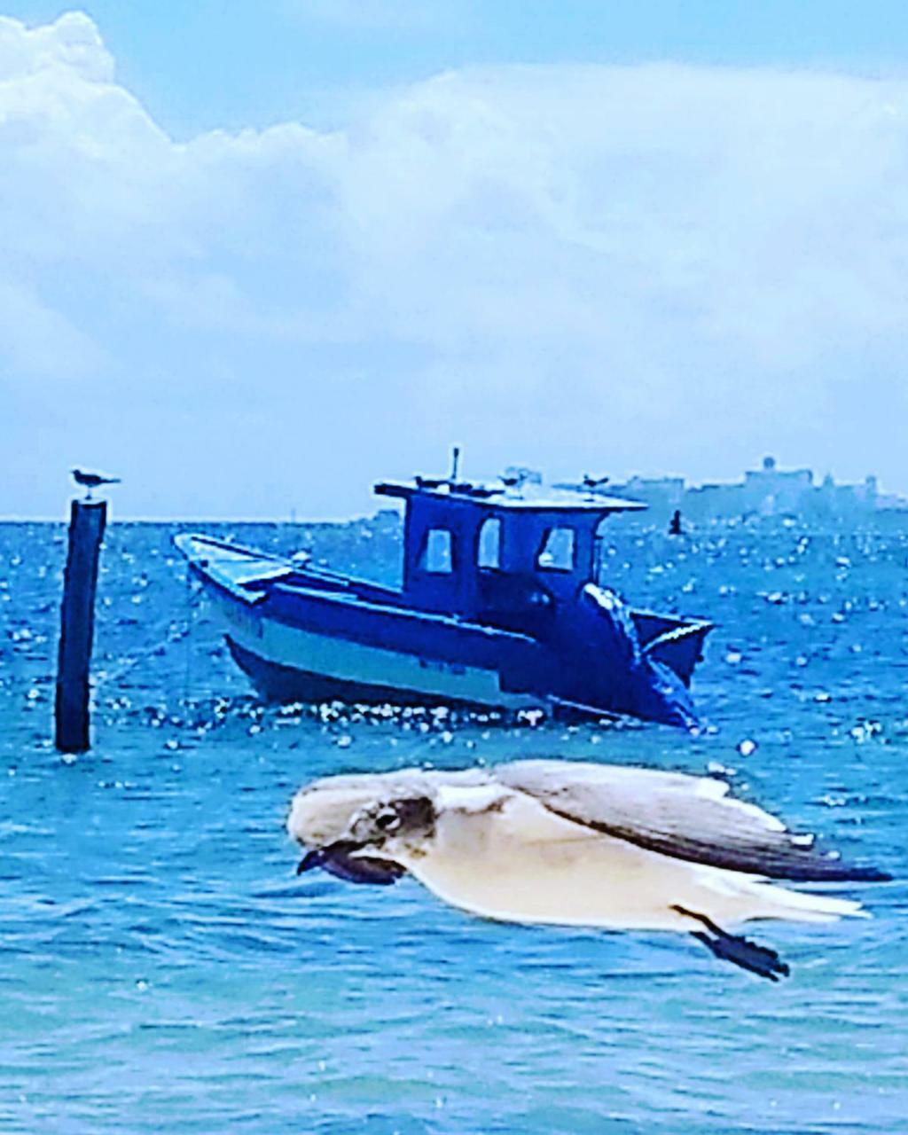 Tu Casa En El Caribe Appartement Cancún Buitenkant foto